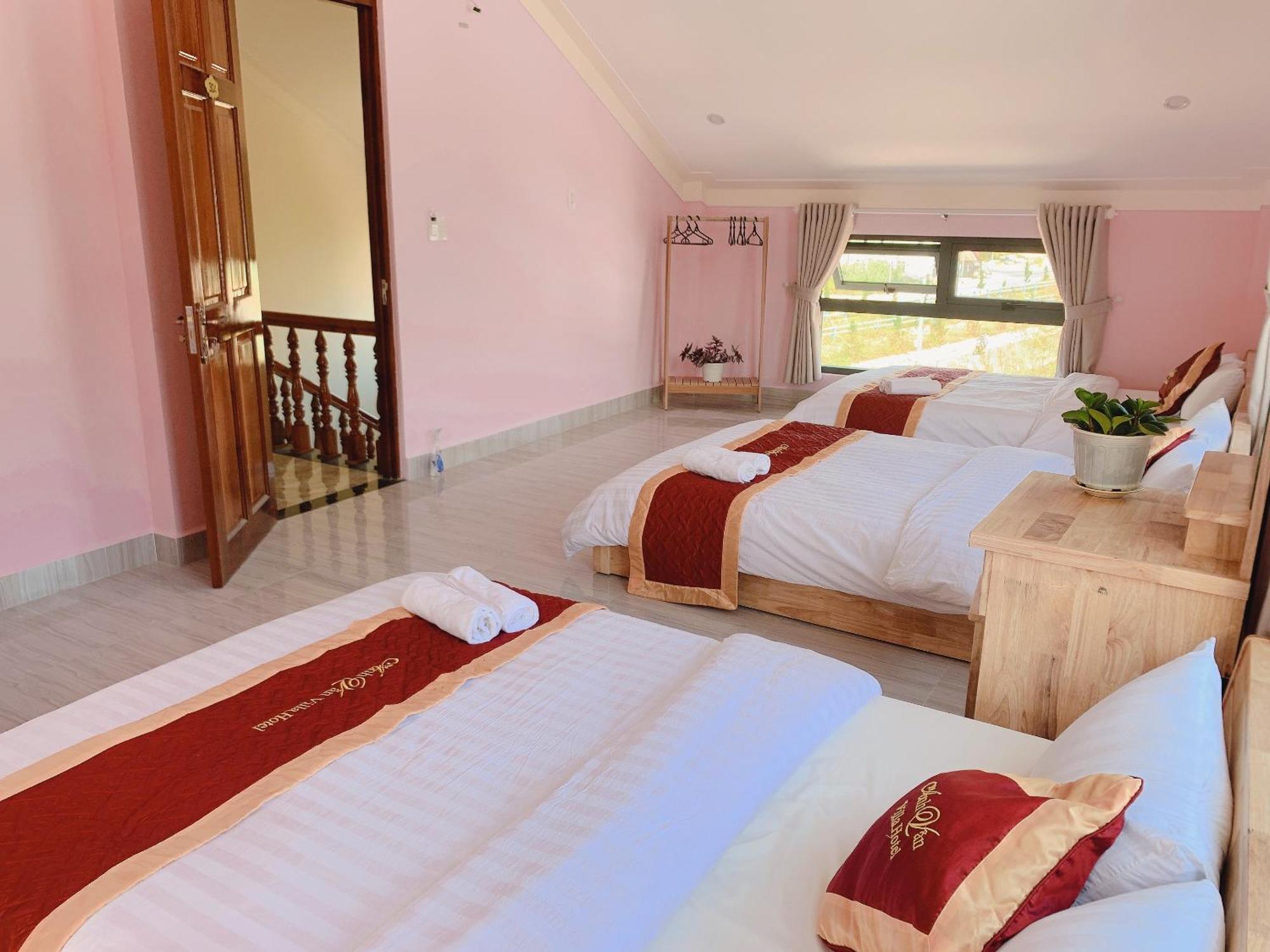 Anh Van Villa Hotel 大叻 外观 照片